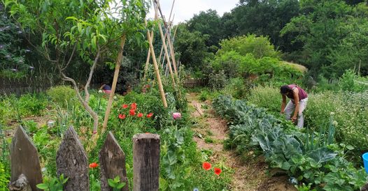 Un cours certifié de permaculture en avril 2023 dans le Jura