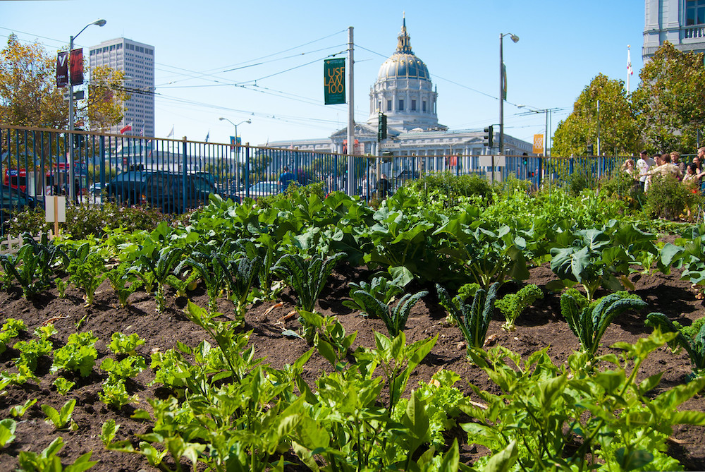 Les circuits pas si courts de l'agriculture urbaine