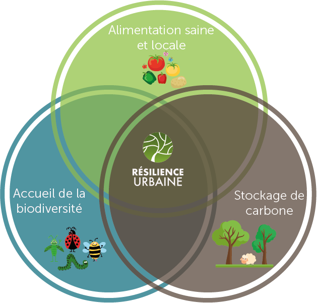 Survivalisme et résilience - Résilience Urbaine - site